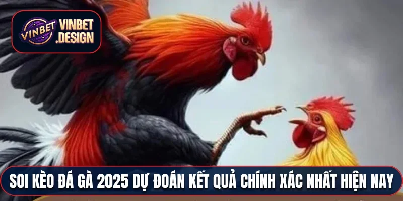 Soi kèo đá gà 2025